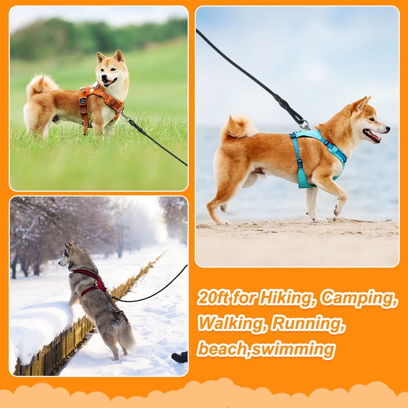 Vivifying Floating Long Dog Leash, 20ft Dog Training Leash, Check Cord Rope Lead with Comfortable Handle for Outside, Hiking, Swimming, Beach and Lake (Black) - Image 5